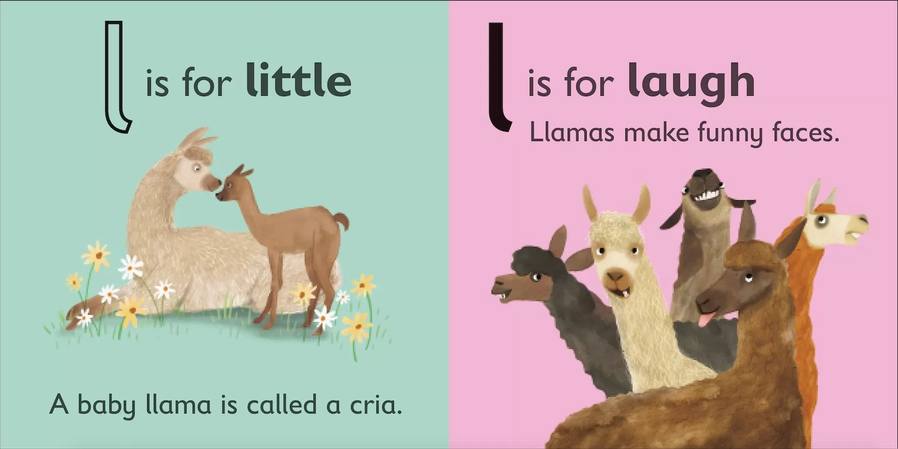 L is for Llama inside spread