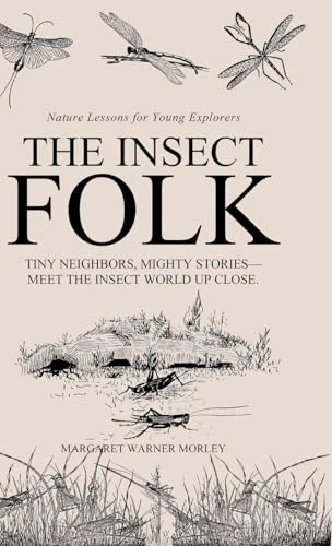 The Insect Folk