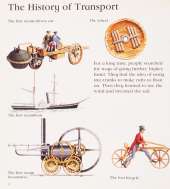 Transport
