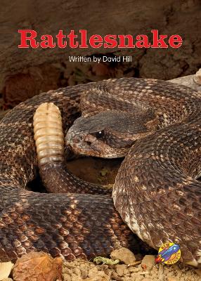 Rattlesnake