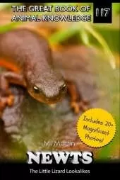 Newts: The Little Lizard Lookalikes