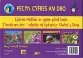 Pecyn