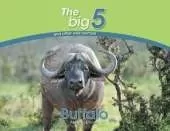 Buffalo: The Big 5 and other wild animals