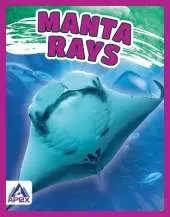 Manta Rays