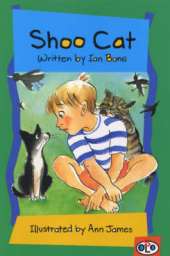 Solo Fiction: Shoo Cat