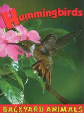 Hummingbirds