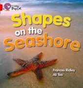 Shapes on the Seashore: Talking Books