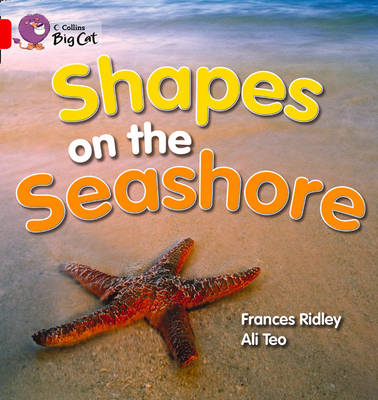 Shapes on the Seashore: Talking Books