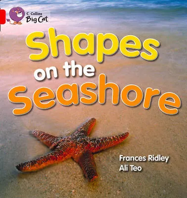 Shapes on the Seashore: Talking Books