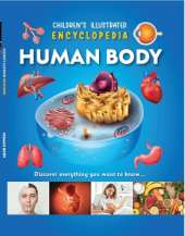 Human Body