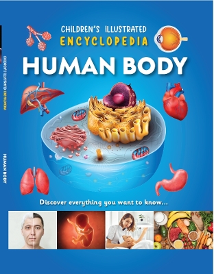 Human Body