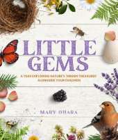 Little Gems: A Year Exploring Nature's 'Hidden Treasures' Alongside Your Children