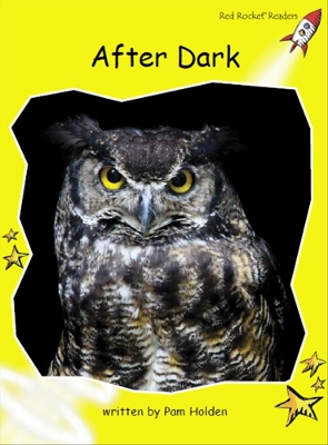Red Rocket Readers: Early Level 2 Non-Fiction Set B: After Dark