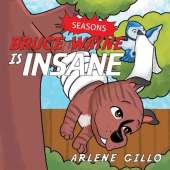Bruce Wayne Is Insane: Seasons
