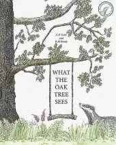 What The Oak Tree Sees