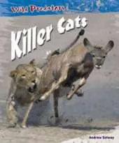 Killer Cats