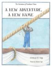 A New Adventure, A New Name