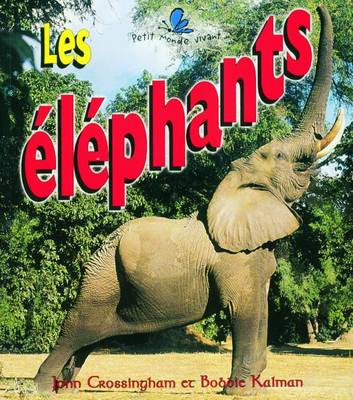 Elephants