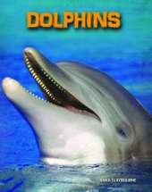 Dolphins