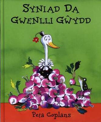 Syniad Da Gwenlli Gwydd