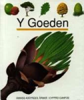 Coeden, Y
