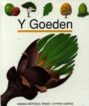 Coeden, Y