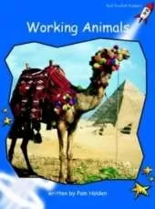 Red Rocket Readers: Early Level 3 Non-Fiction Set B: Working Animals (Reading Level 11/F&P Level H)