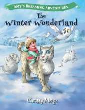 Amy's Dreaming Adventures: The Winter Wonderland