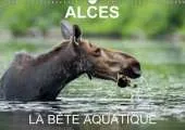 Alces - La Bete Aquatique: 13 Photos d'Orignaux dans Leur Milieu Aquatique, au Quebec
