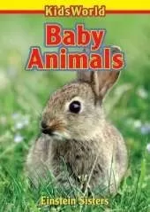 Baby Animals