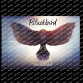 Blackbird