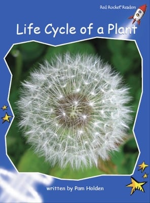 Red Rocket Readers: Early Level 3 Non-Fiction Set B: Life Cycle of a Plant