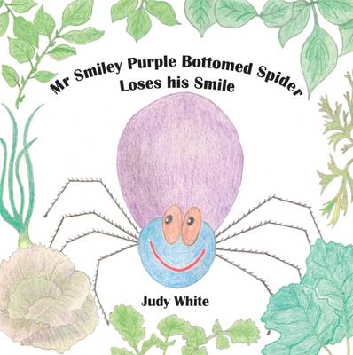 Mr Smiley Purple Bottomed Spider Loses His Smile