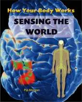 How Your Body Works: Sensing the World