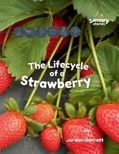The Lifecycle of a Strawberry: A Sensory Story