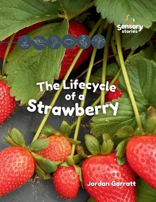 The Lifecycle of a Strawberry: A Sensory Story