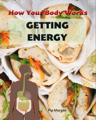 How Your Body Works: Getting Energy
