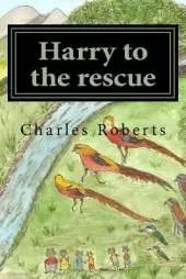 Harry to the rescue