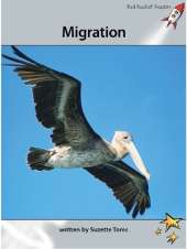 Red Rocket Readers: Advanced Fluency 1 Non-Fiction Set A: Migration (Reading Level 23/F&P Level P)