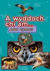 A Wyddoch Chi am Adar Cymru?