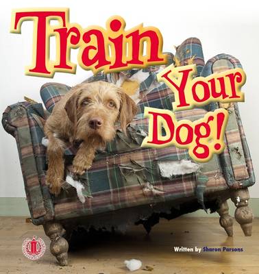 Train Your Dog