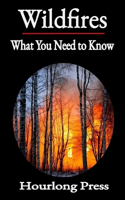 Wildfires: What You Need to Know