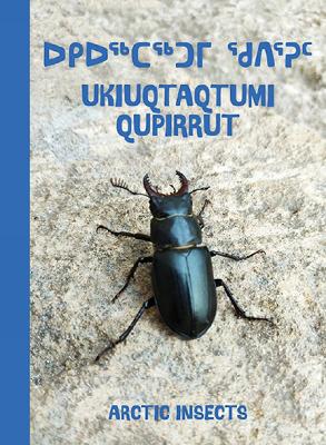 Arctic Insects: Bilingual Inuktitut and English Edition
