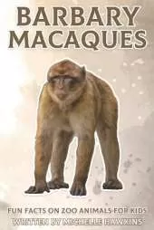 Barbary Macaques: Fun Facts on Zoo Animals for Kids #40