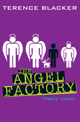 The Angel Factory