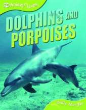 Dolphins and Porpoises