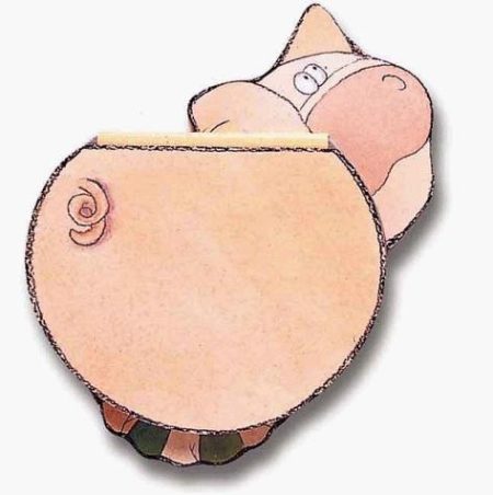 Zippy Books: Pig