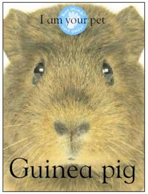 I am Your Pet Guinea Pig