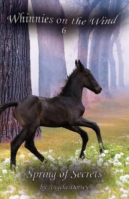 Spring of Secrets: A Wilderness Horse Adventure