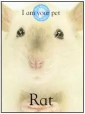 I am Your Pet Rat